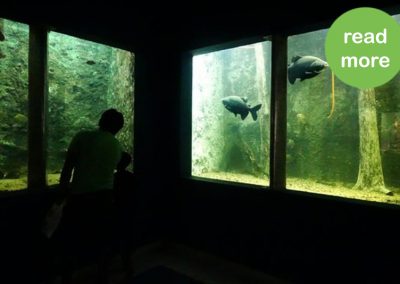 Museu Paraense Emílio Goeldi (aquarium) – Belém – PA – Brazil